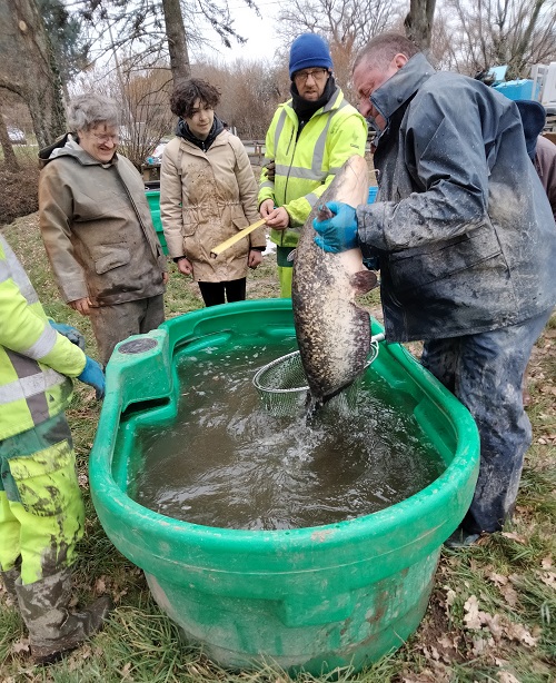 Description de l'image