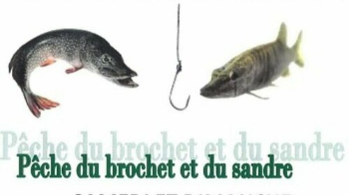 Pêche au brochet et au sandre