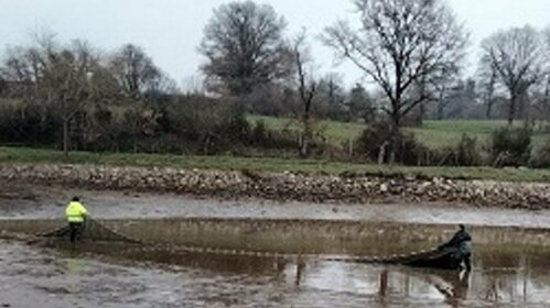 Pêche du Plan d'eau de la Prugne 