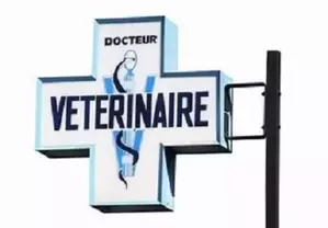 Jours de fermeture du Cabinet vétérinaire en juillet/août/septembre
